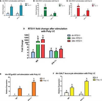 Gut Associated Lymphoid Tissue (GALT) primary cells and stable cell lines as predictive models for intestinal health in rainbow trout (Oncorhynchus mykiss)